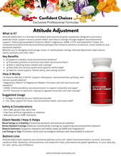 Load image into Gallery viewer, Attitude Adjustment