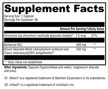 Load image into Gallery viewer, Synergee Glucose Control
